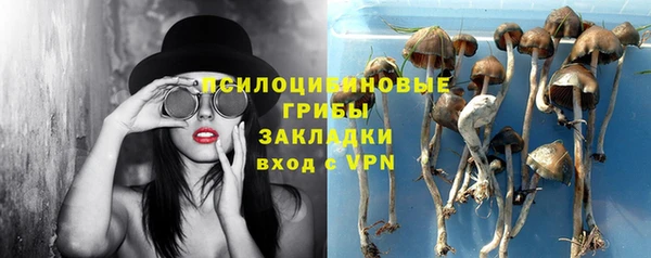 спиды Магадан