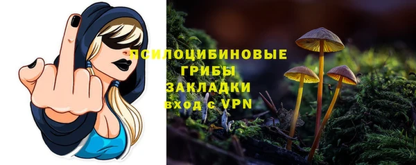 спиды Магадан