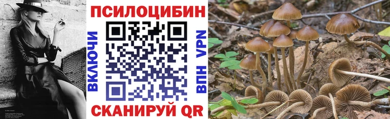 Галлюциногенные грибы ЛСД  Заозёрск 